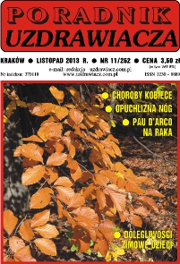 Uzdrawiacz nr 11/2013