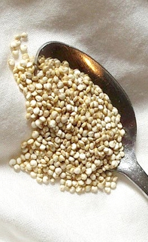 Quinoa - pokarm przyszłości